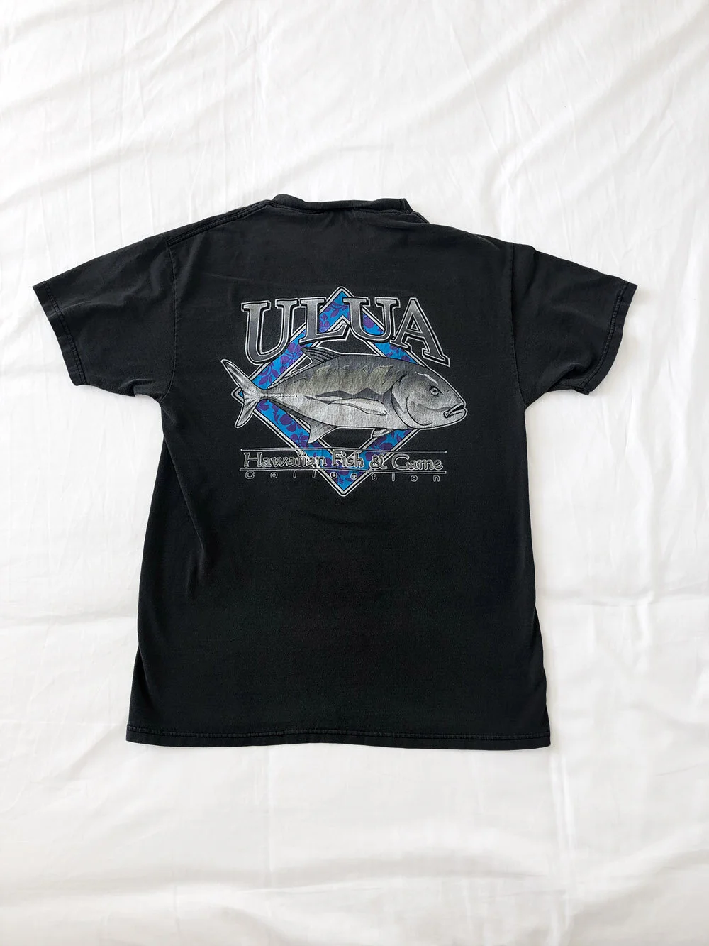 KW - PI - fish03.jpg