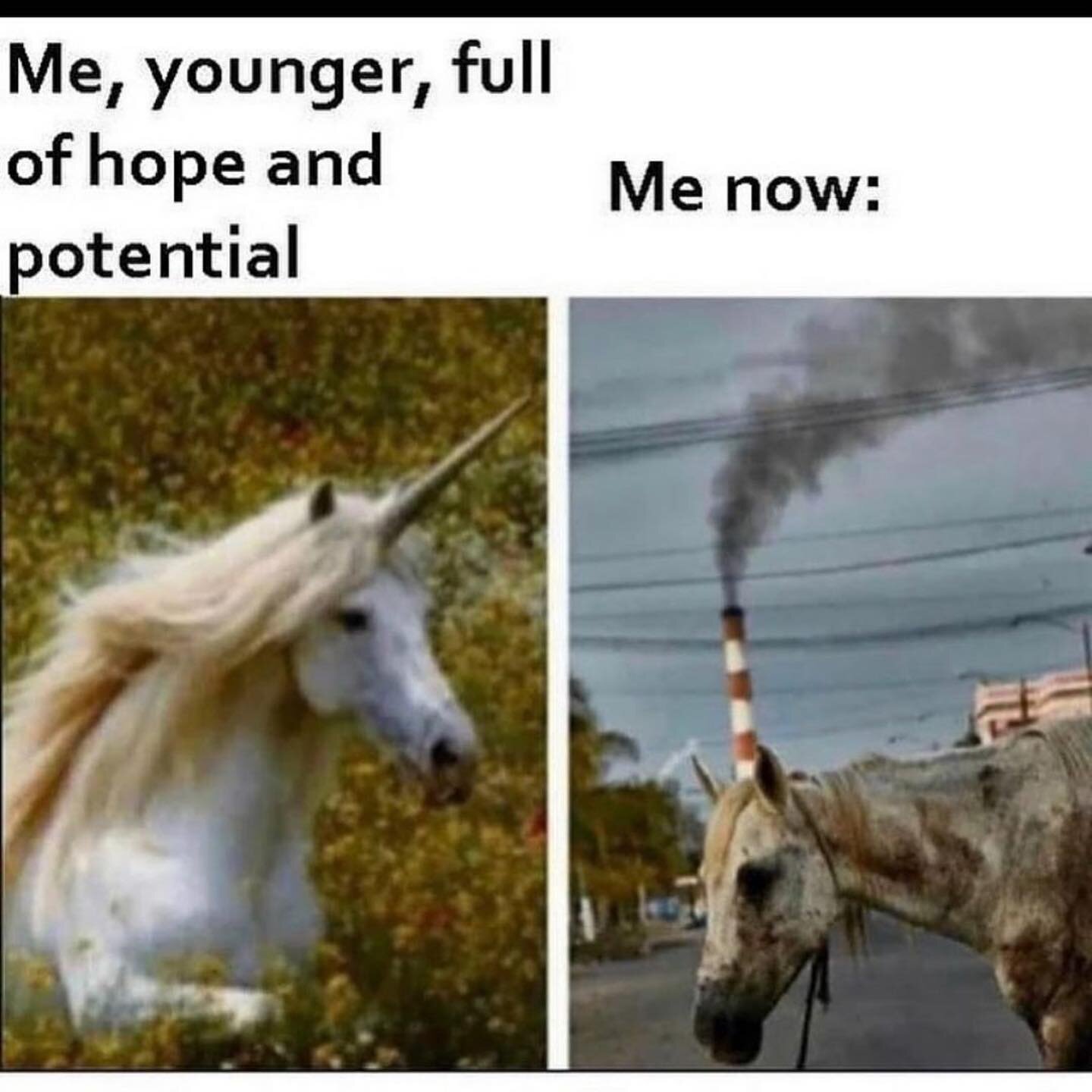 Accurate 

Via @slippery_when_fett