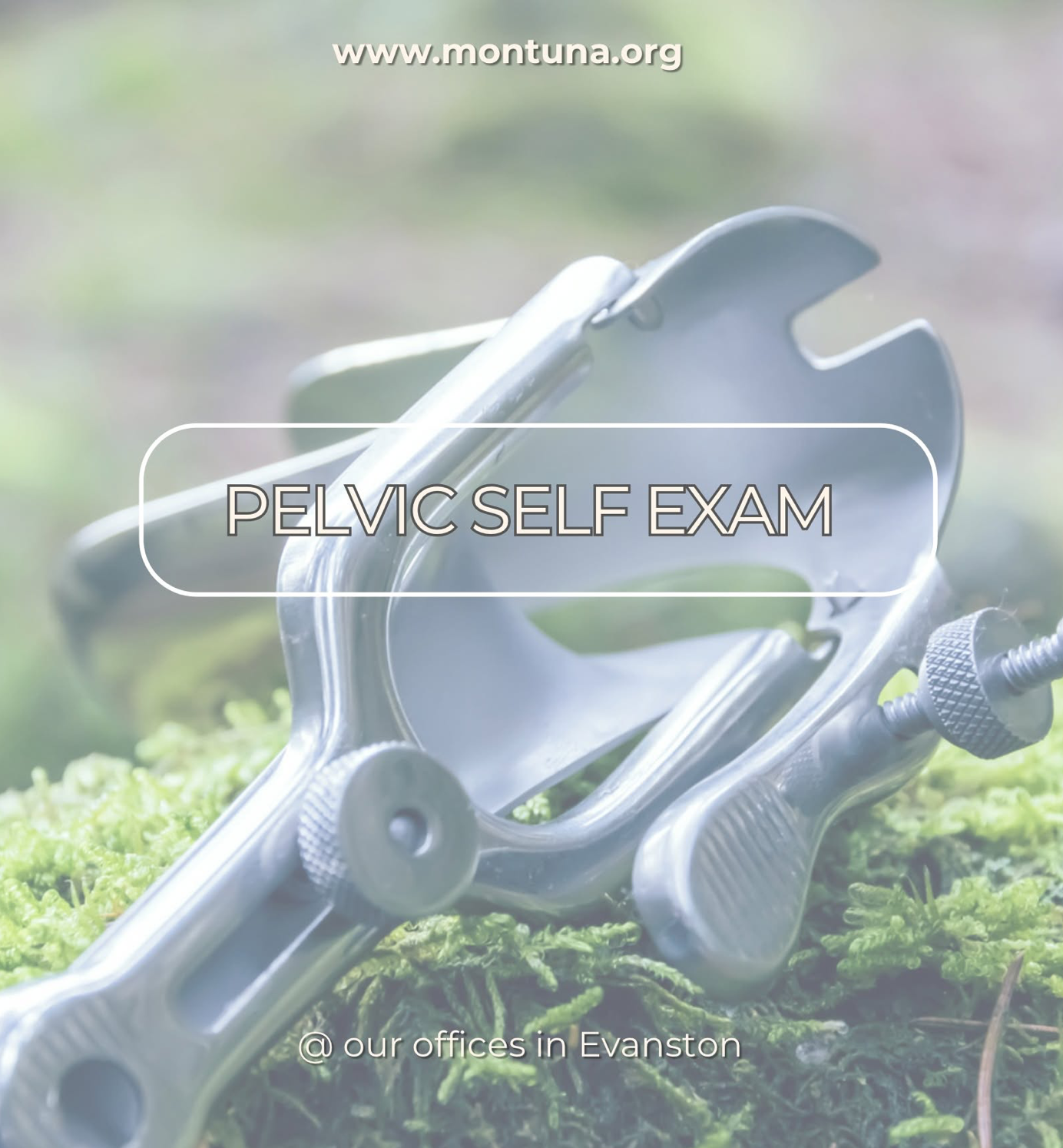 Pelvic Self Exam