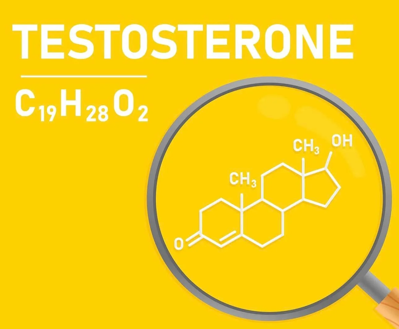 Honoring World Menopause Day with a truth we don’t talk about enough…
We're loving this article on mapping testosterone through the menstrual cycle because it reminds us:
Menopause is NOT just about estrogen.
Testosterone matters too.