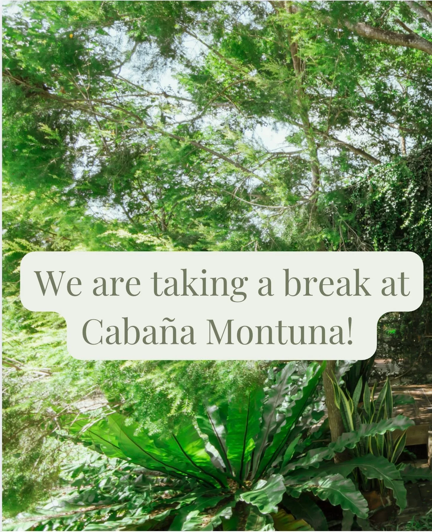 🌿✨
As this season of celebration unfolds, we at Montuna pause at our Caba&ntilde;a Montuna with gratitude and intention. We honor rest as sacred and recognize that how we care, slow down, and remain present is deeply political. We also reflect on ho