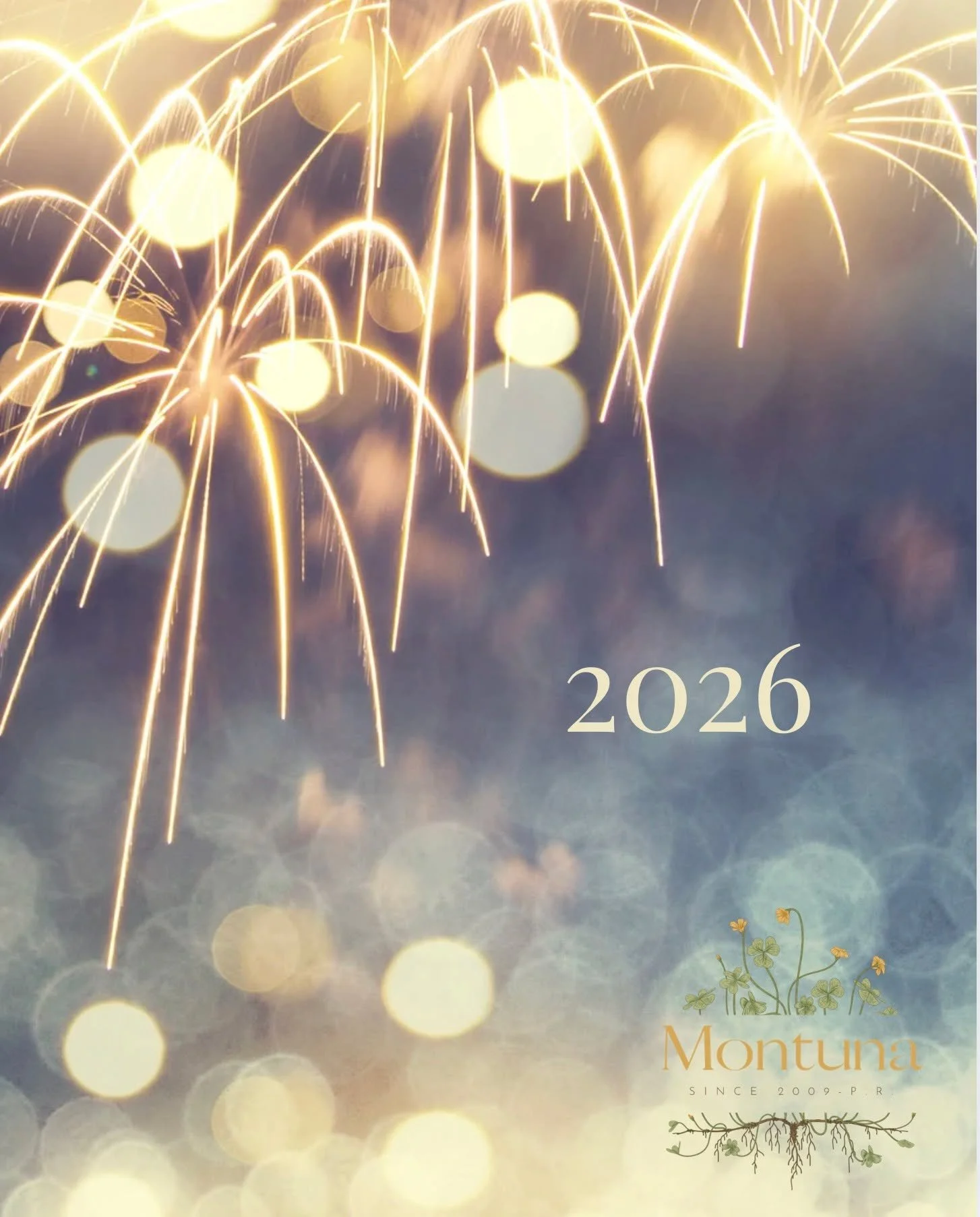 🌿✊🏽✨
For a new year rooted in justice&mdash;where families and communities are not torn apart by government violence, and where healthcare, food, land, and housing are guaranteed rights, not privileges.

We reject systems that profit from harm and 