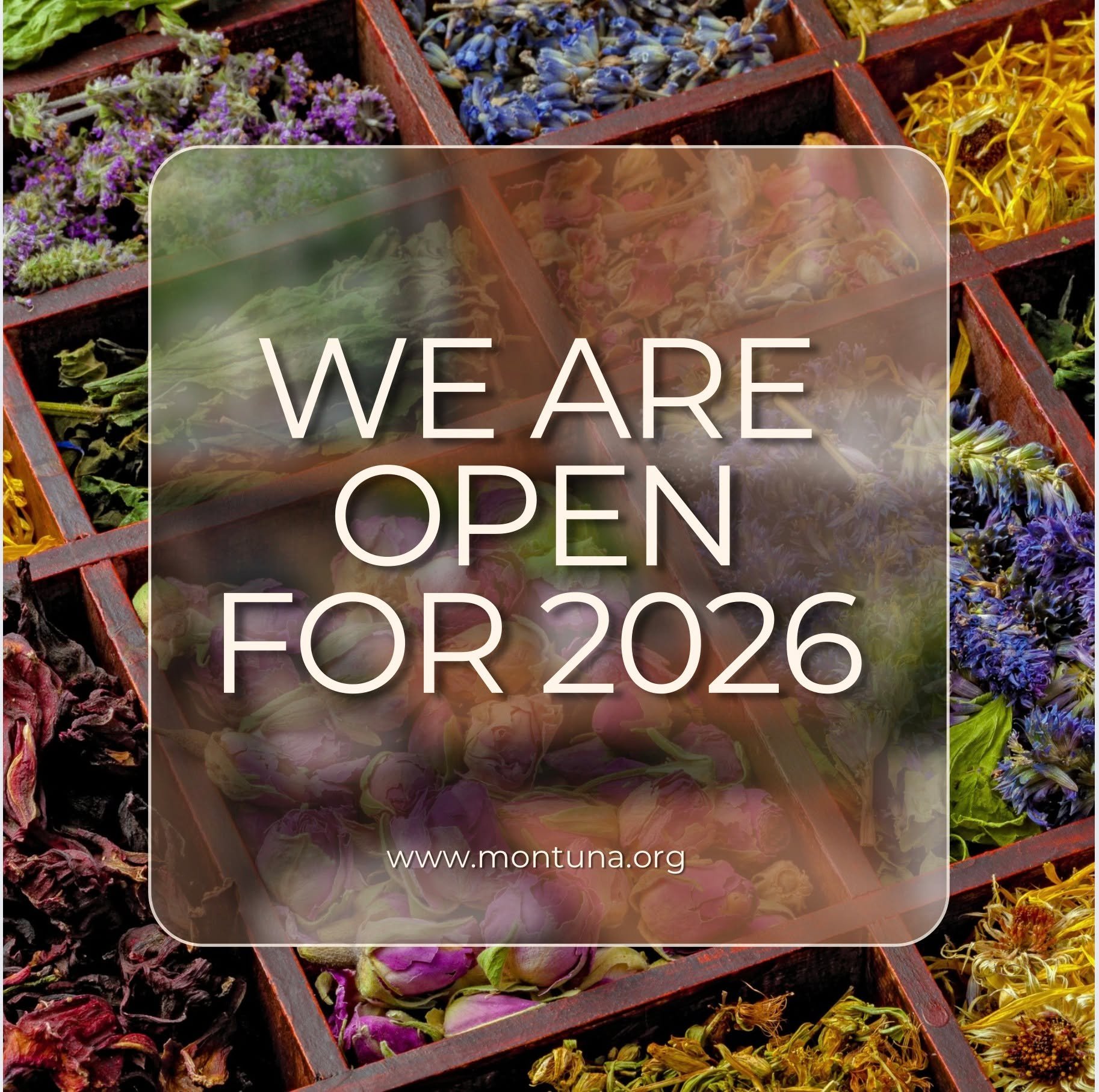 We&rsquo;re open for 2026 and excited to welcome both new and returning clients! We&rsquo;re deeply grateful to continue this work and care alongside you. 🌿

&iexcl;Estamos abiertxs en 2026 y felices de recibir a clientes nuevxs y de regreso! Agrade