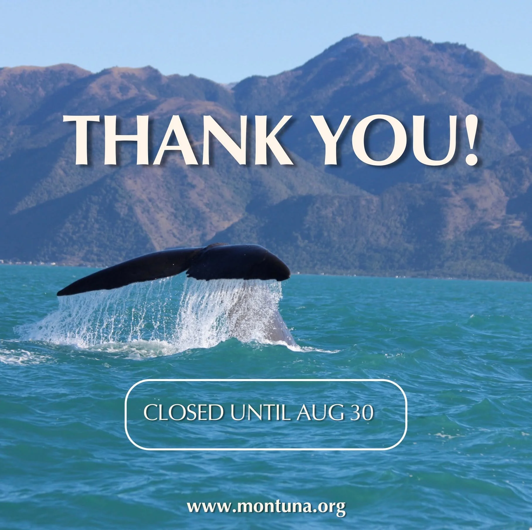Thank you, everyone, for all your love and well wishes. 💜

My shoulder continues to need regular physical therapy, and for now, we are still unable to physically support others in their healing journeys. I suppose there is an eternal lesson here: he