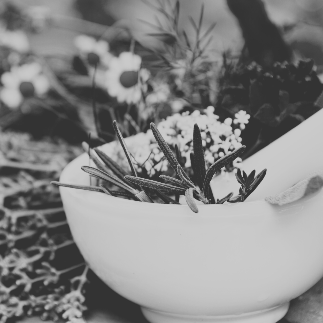 A white ceramic bowl filled with sprigs of herbs, including lavender and sage, placed on a textured surface with other plants and flowers blurred in the background.