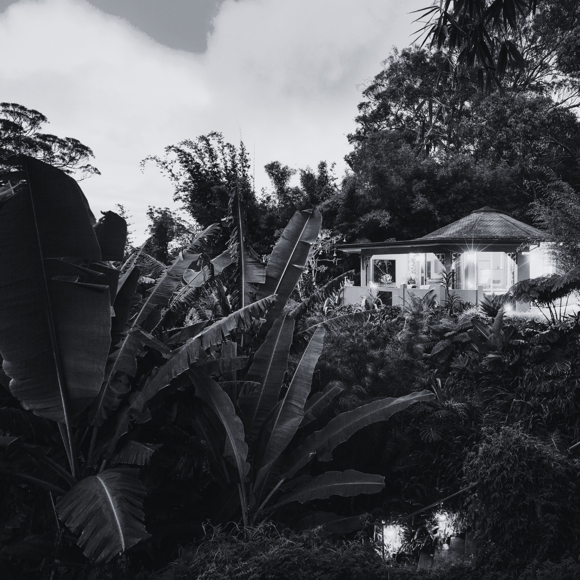 Night scene of a house illuminated through large glass windows, surrounded by dense tropical vegetation and tall trees.