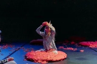 Støtte til etablerte kompanier