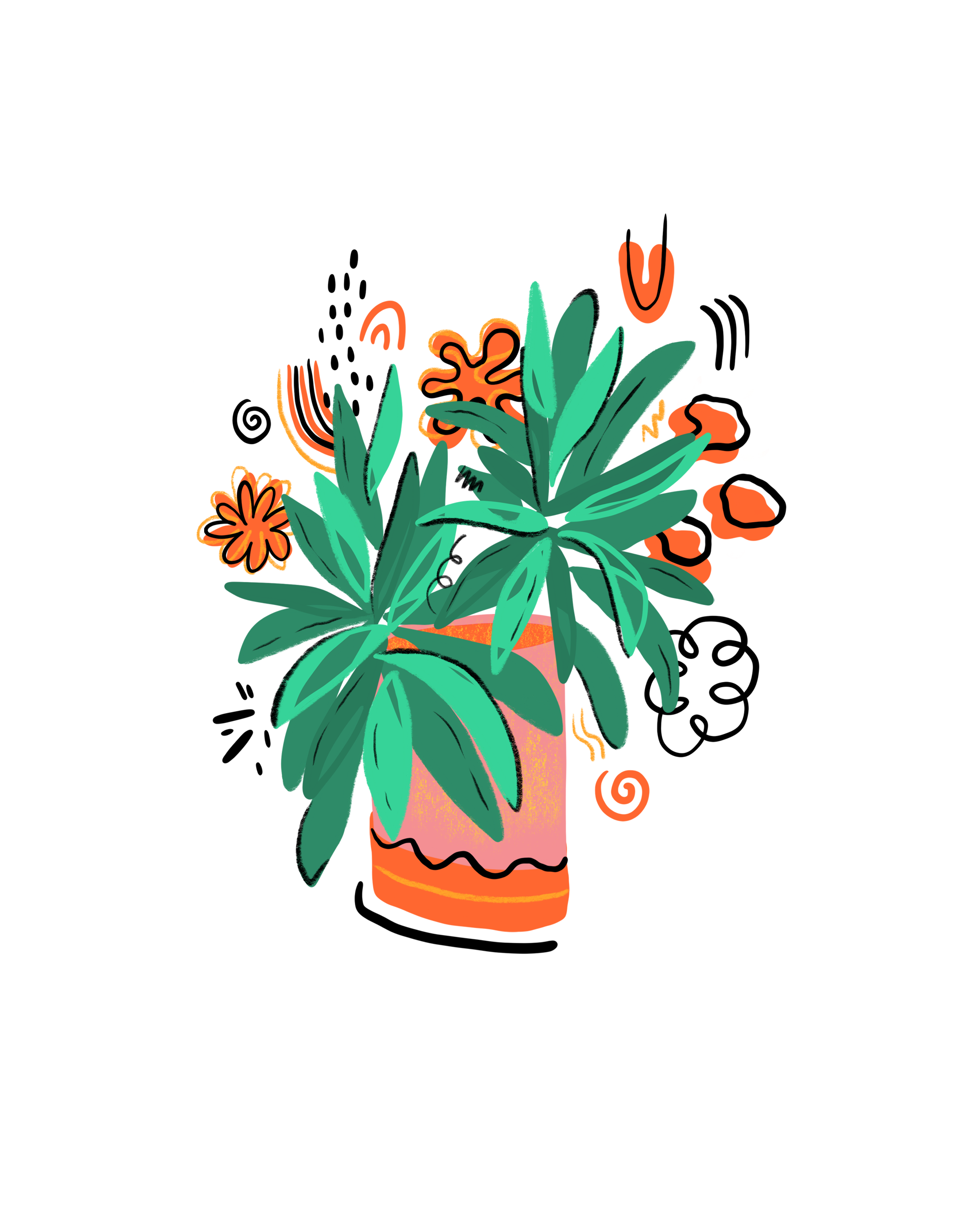 plantportrait1.png