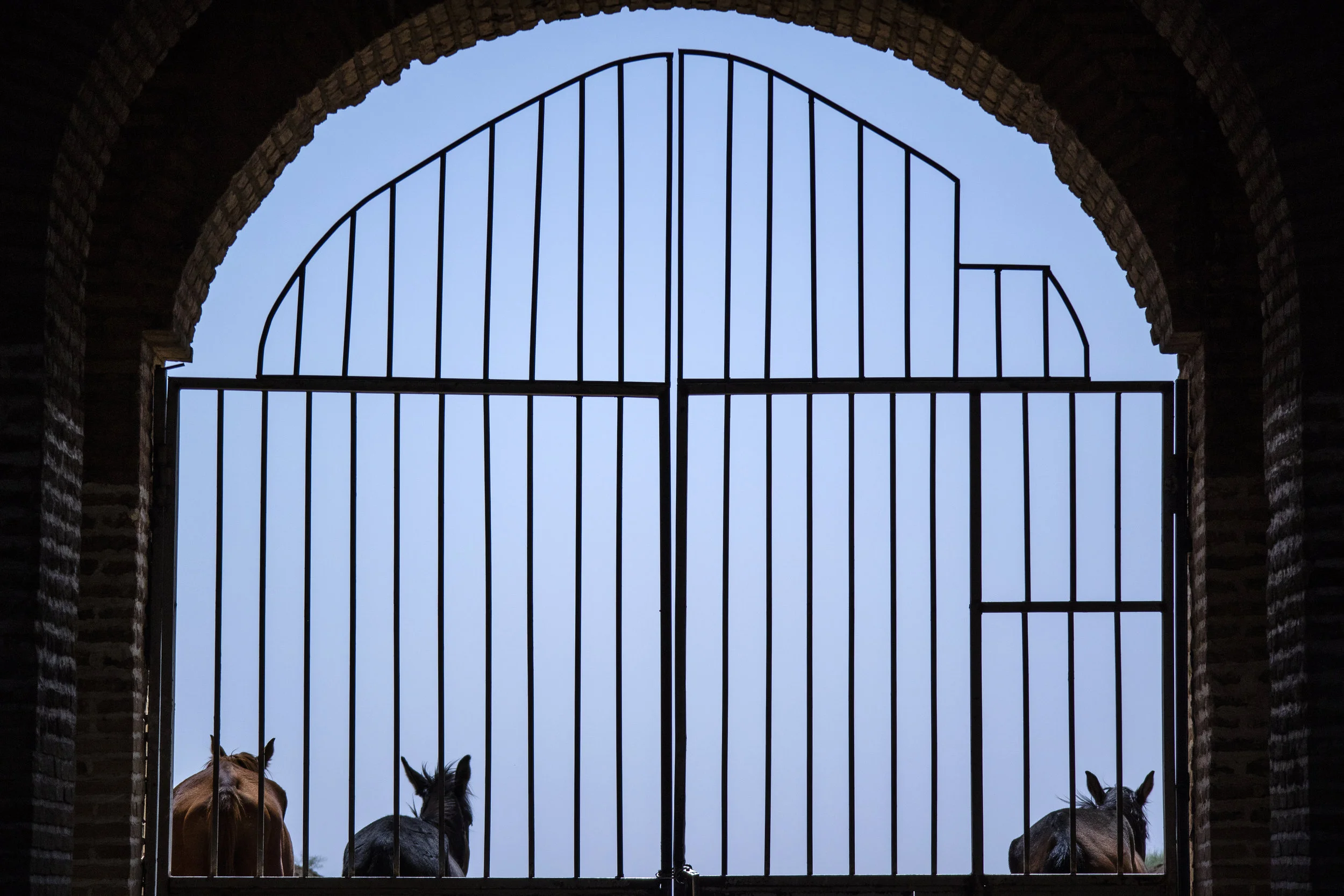 Workshop with Center For Contemporary Opera