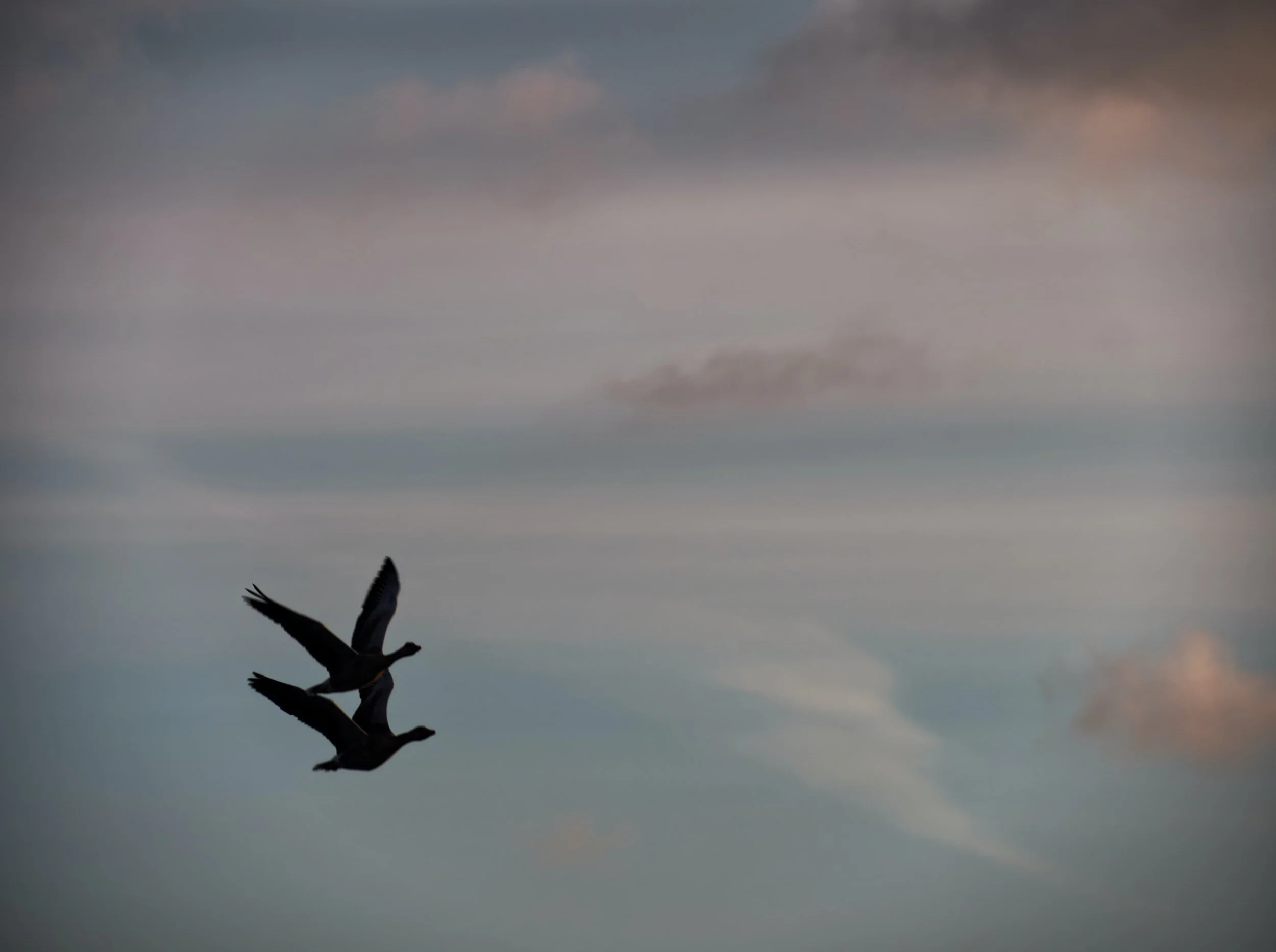 unsplash-image-DWT7jLSQJpo.jpg