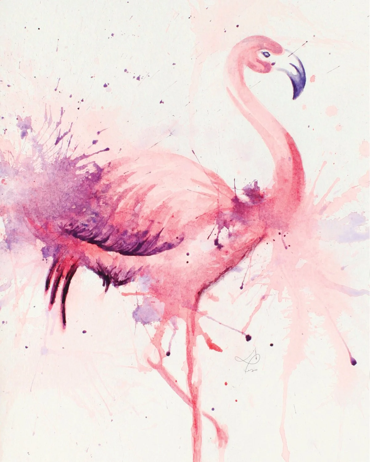 Flamingo
