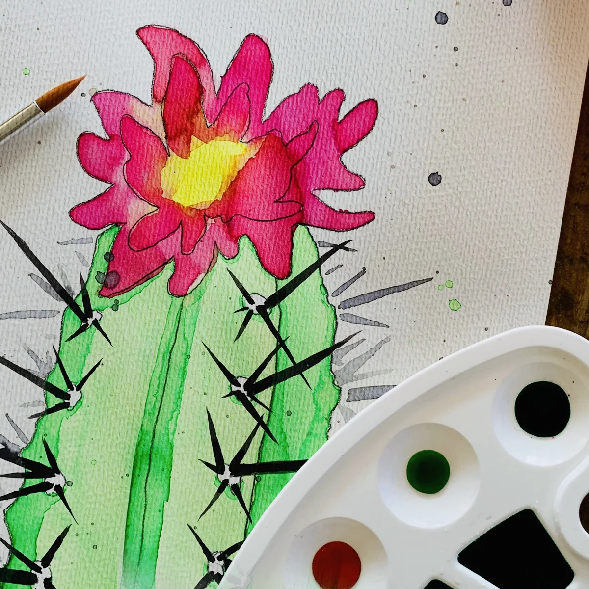 cactus.jpg