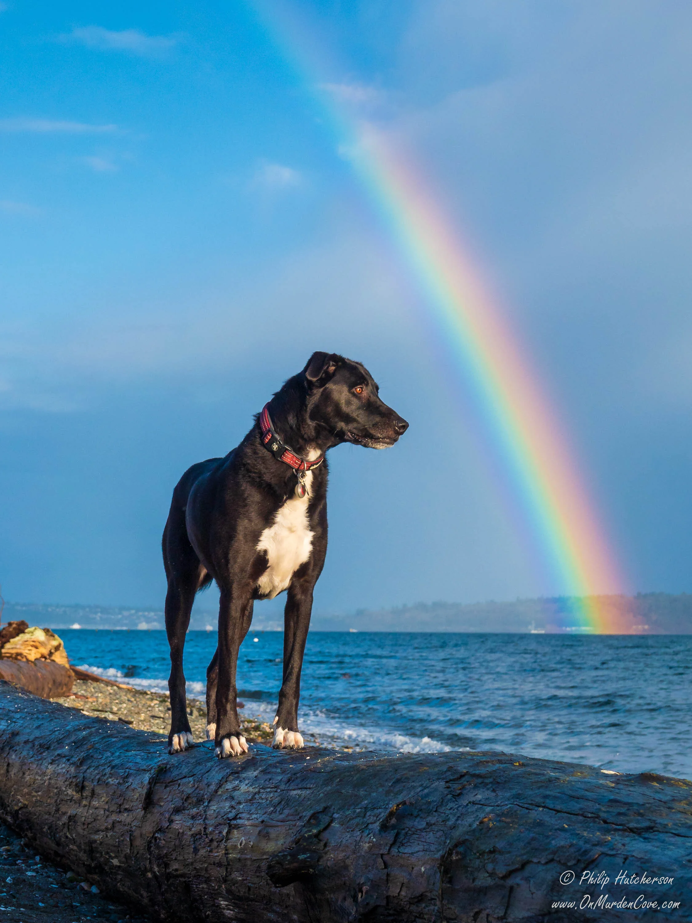 Chance under the Rainbow