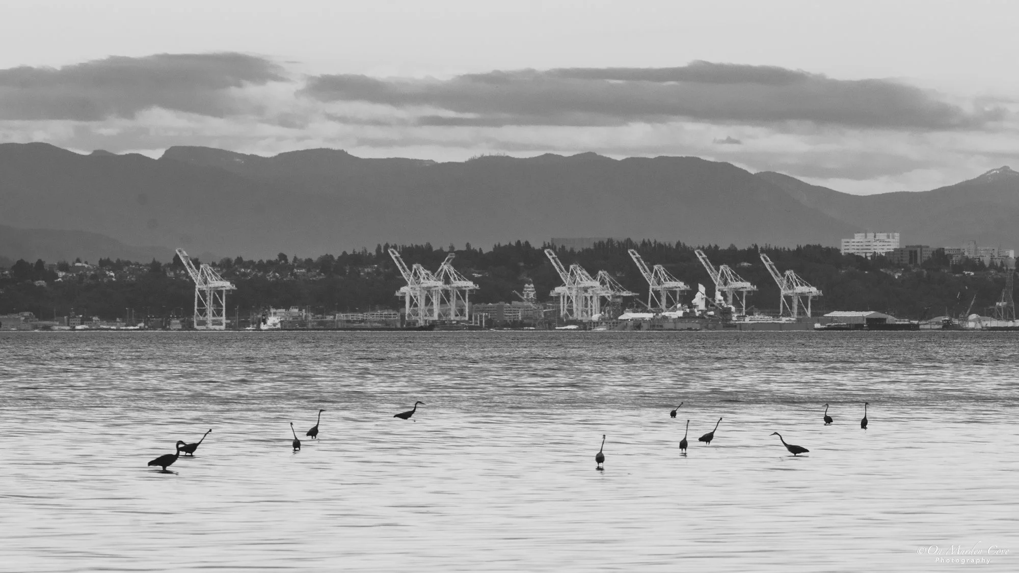 2022-06-08-18-52-52-_DSC2434 sm.jpg