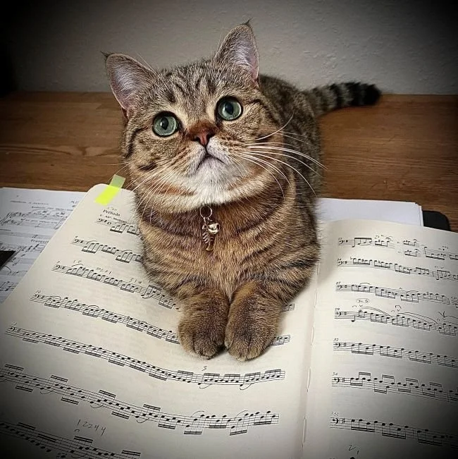 Sheet Music