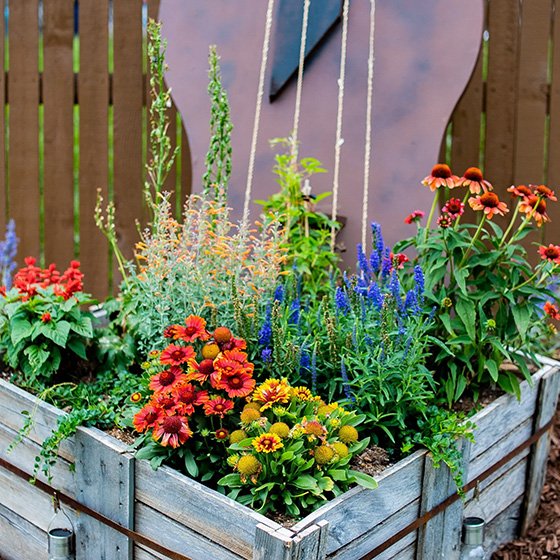 Colorful flowers in a wooden garden planter with a wooden fence in the background.