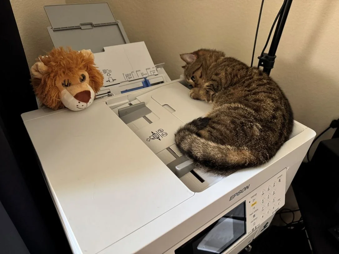 Cat laying on a printer looking like he is inspecting it - There is a stuffed animal lion also on on the printer.