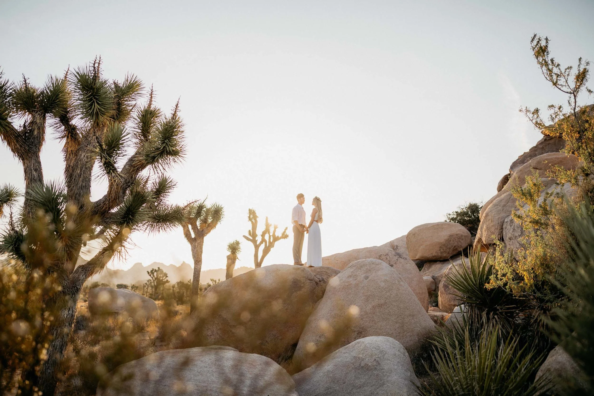 Joshua Tree Styled Shoot-30.jpg