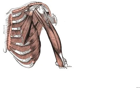 Image of me teaching anatomy 