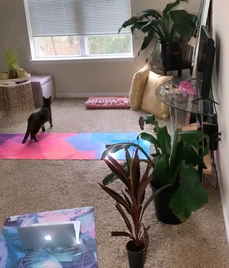 At home yoga room with mat and plants