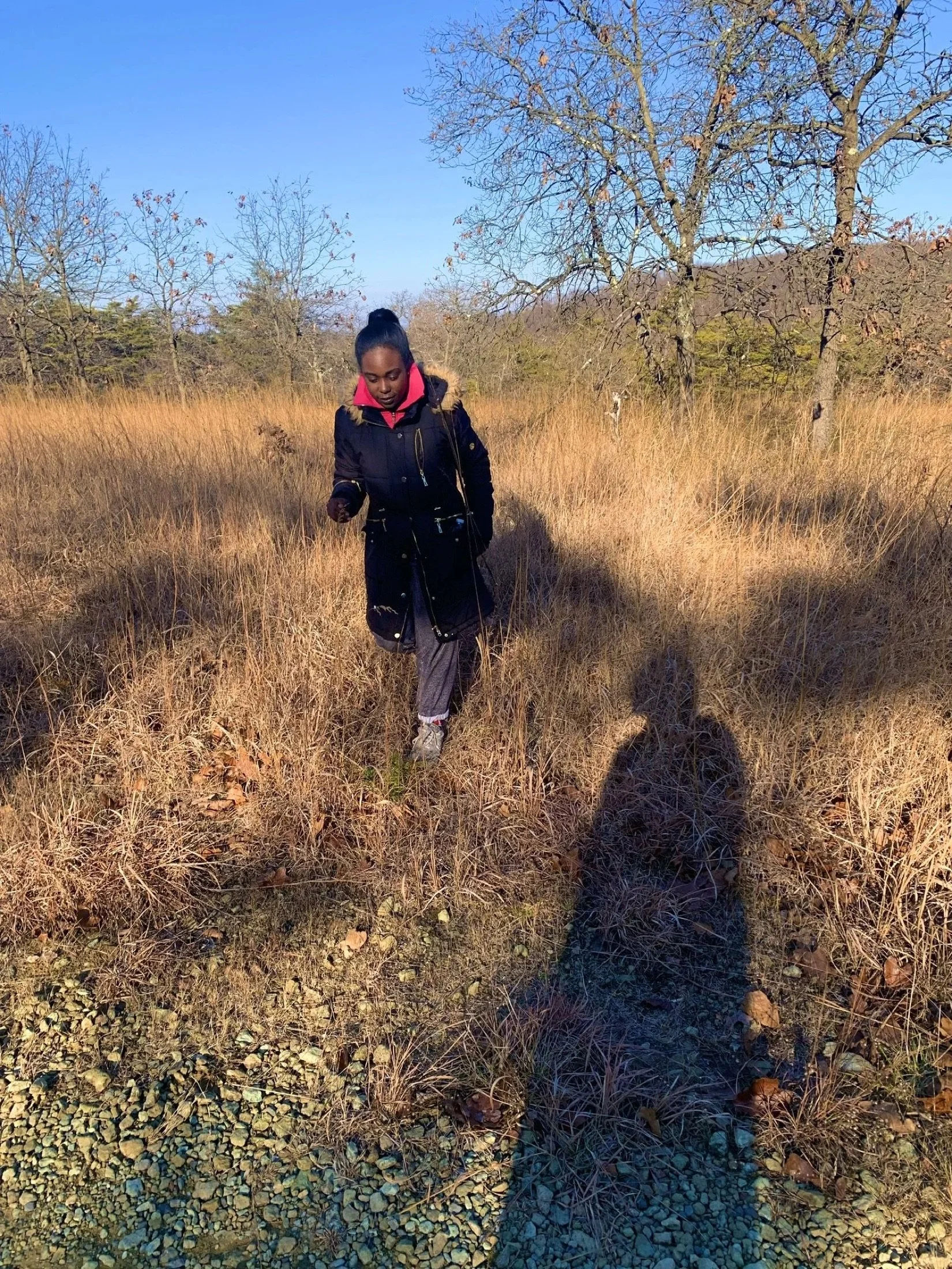 Brielle walking through a golden field on a sunny day