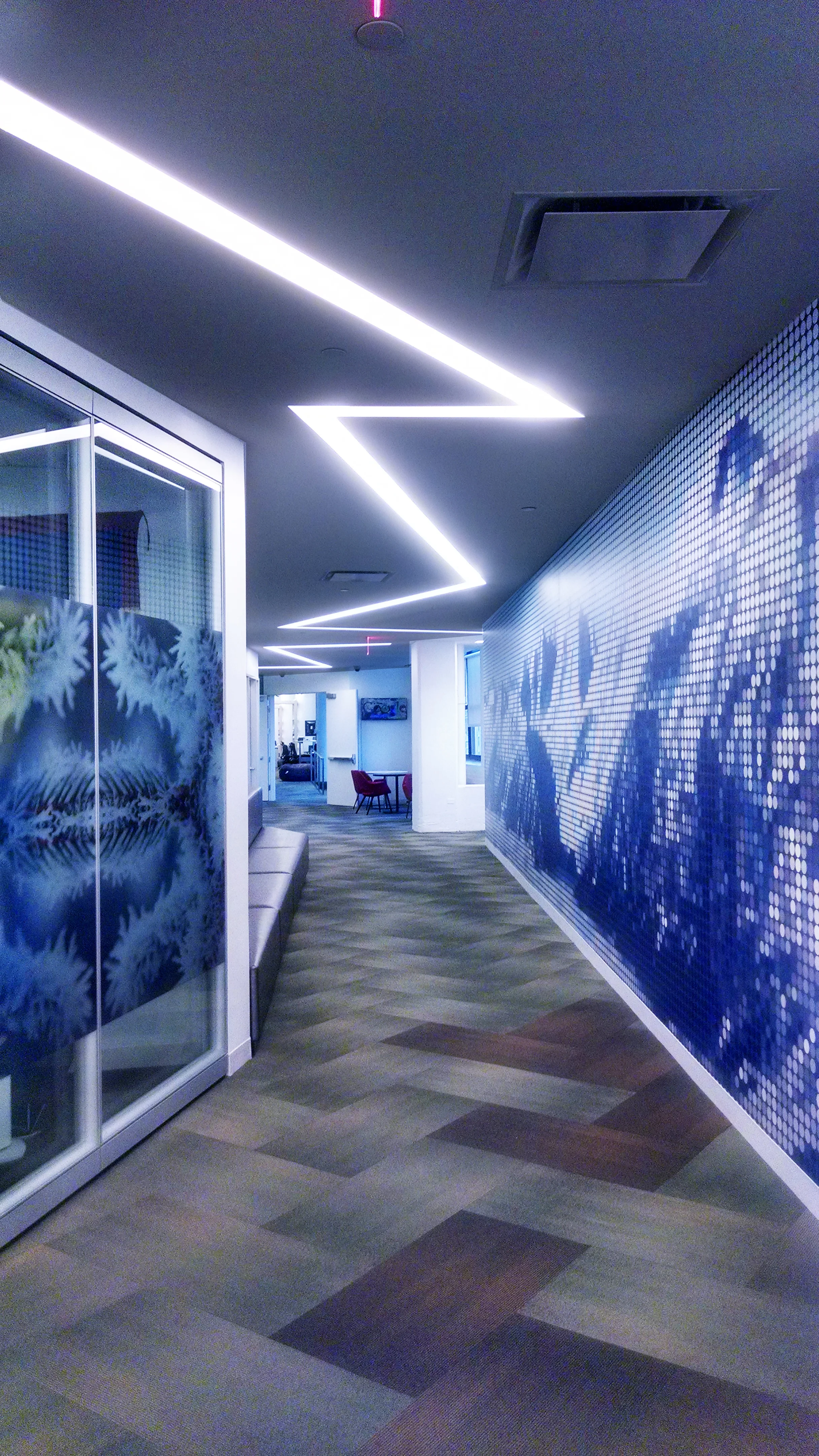 Tech Company IMG_20140114_082941489_HDR.jpg