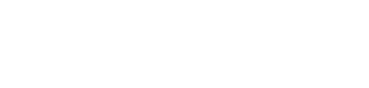 The Rhino