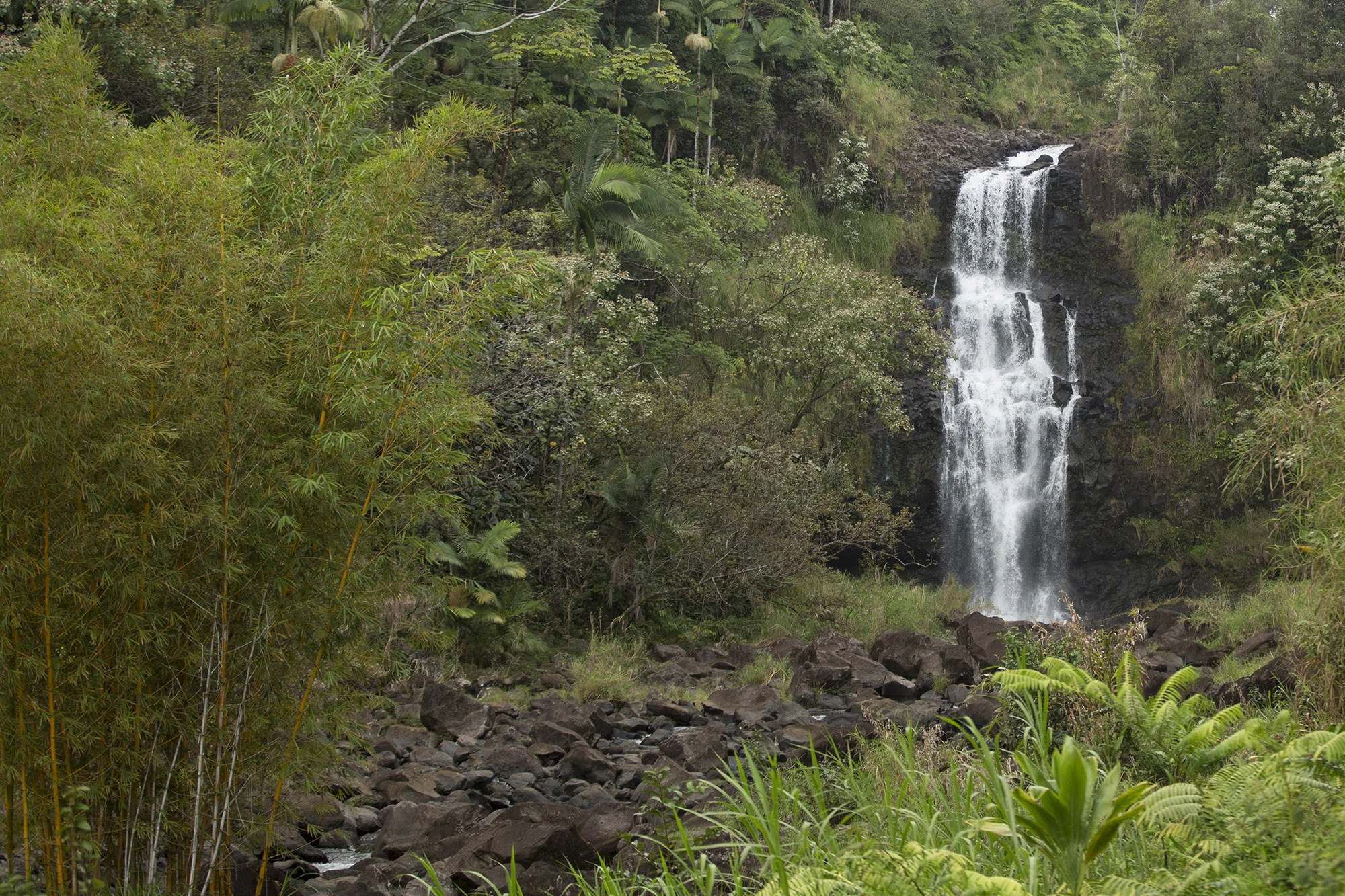Kulaniapia Falls私人瀑布与竹林
