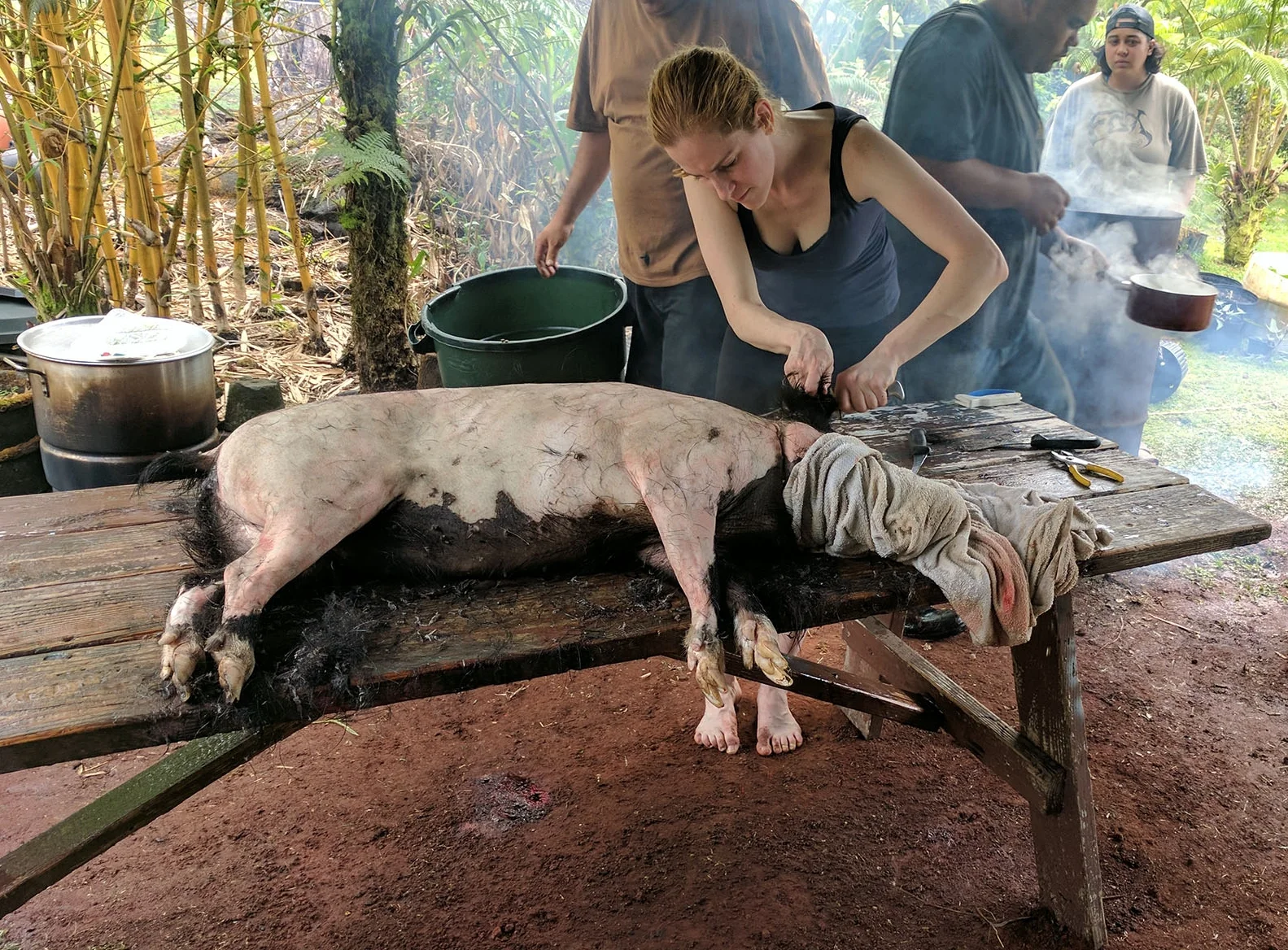 For the respectful: shaving the hog with hot water and a knife.
