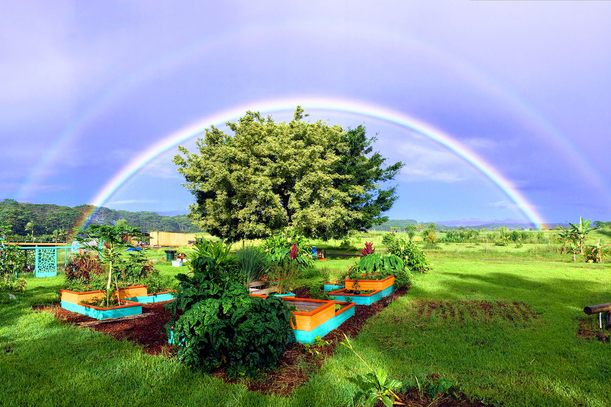 farm with rainbow-EFFECTS 2000x1333.jpg