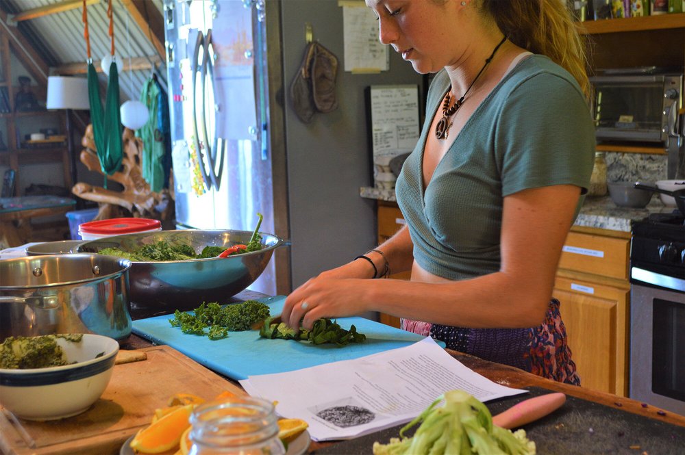 Cooking Classes near Waterfalls in Hilo, Hawaii | Kulaniapia Falls ...