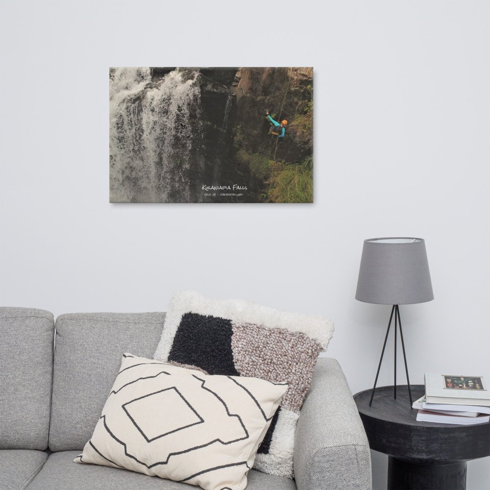canvas-(in)-24x36-front-61a2be2e3ba10.jpg