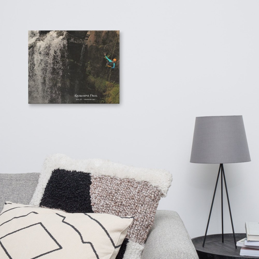 canvas-(in)-16x20-front-61a2be2e3baea.jpg