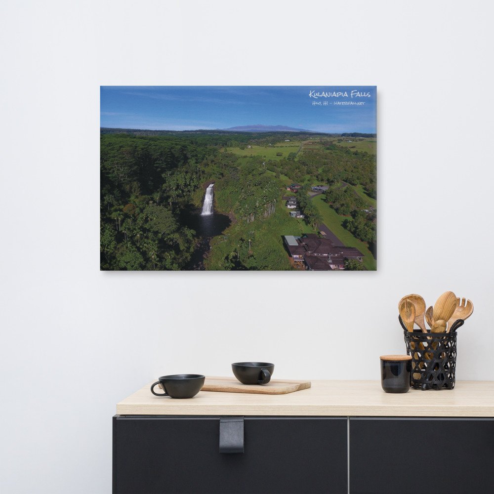 canvas-(in)-24x36-front-61a2bf0fa4f7e.jpg