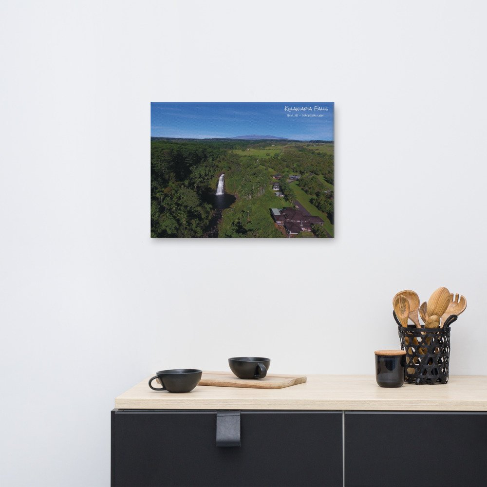 canvas-(in)-18x24-front-61a2bf0fa51b3.jpg