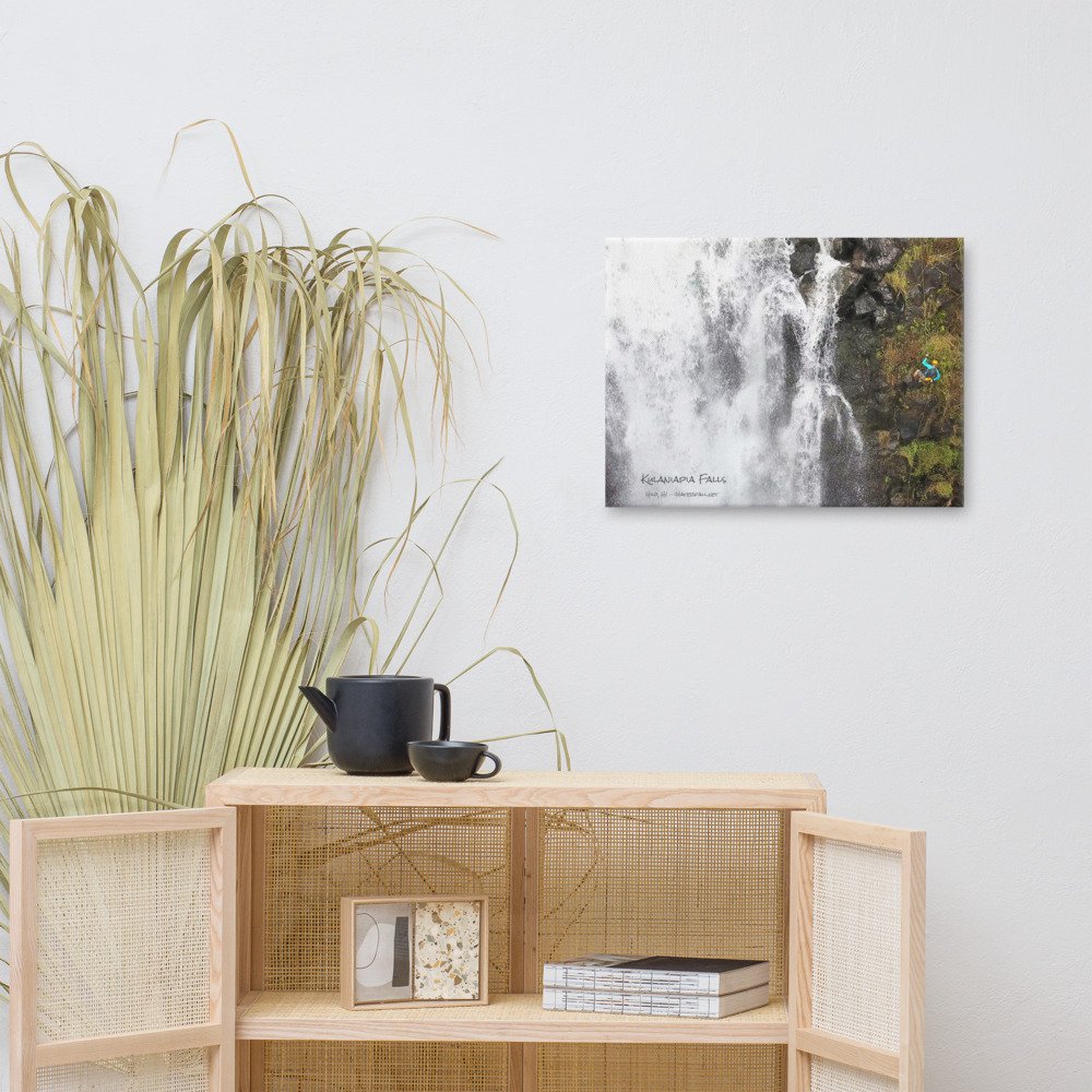canvas-(in)-18x24-front-61a2bf5688cb0.jpg
