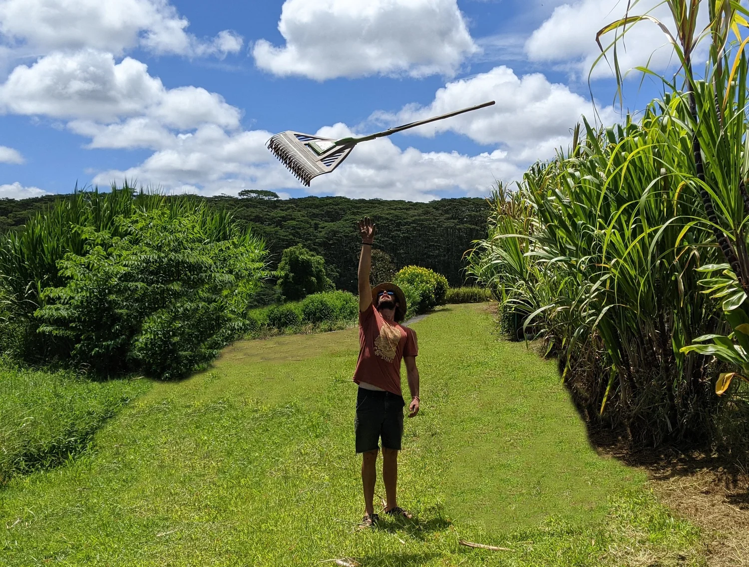 Farm near Waterfalls in Hilo, Hawaii | Kulaniapia Falls