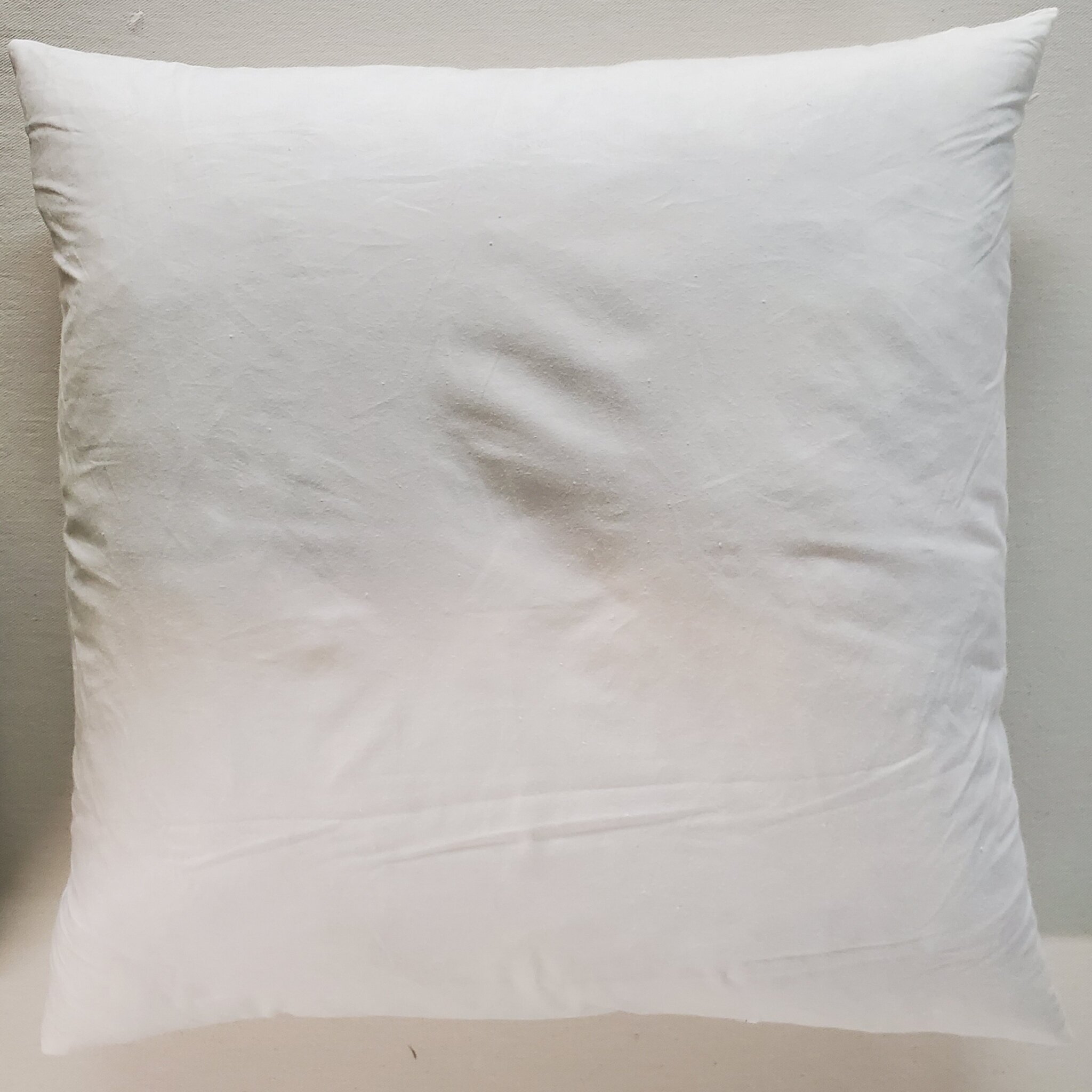 Pillow Insert