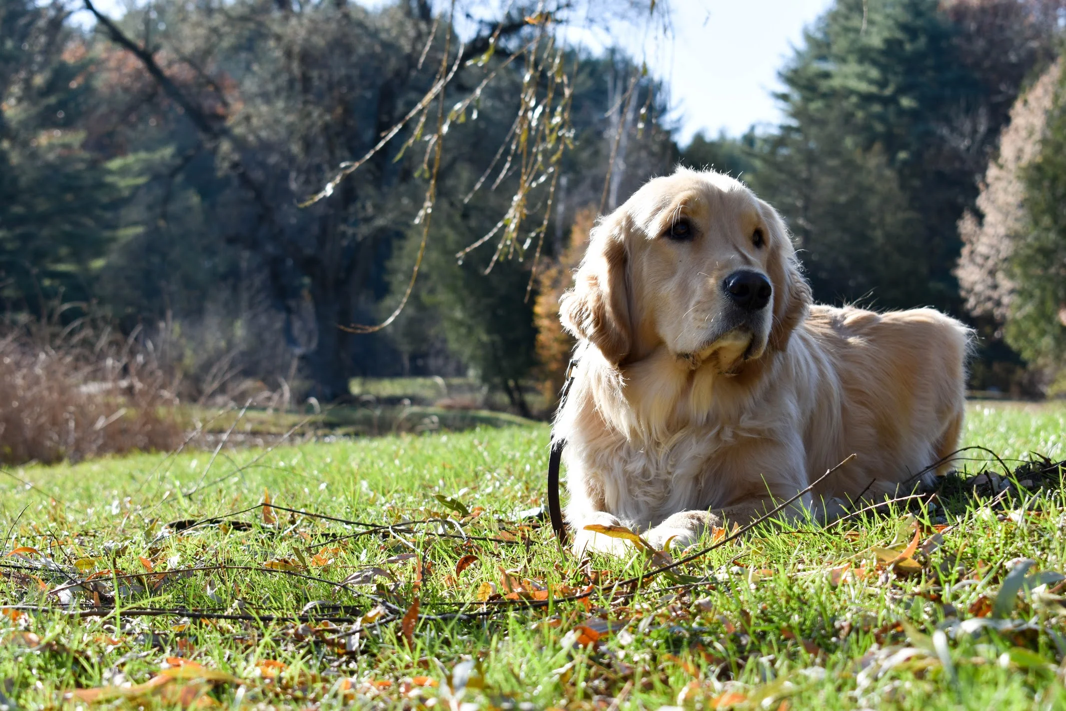 DSC_0205.jpg