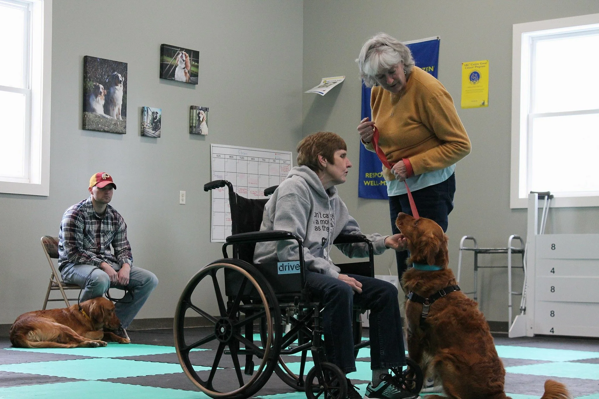 therapydog.jpg