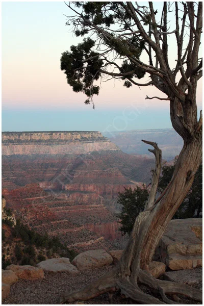 Grand Canyon