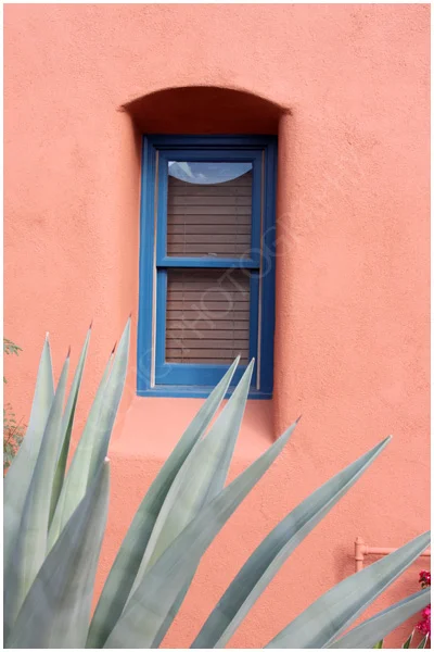 The Barrio, Tuscon