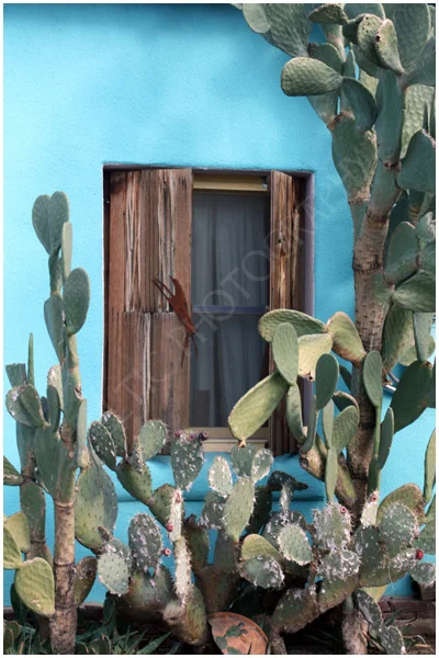 The Barrio, Tuscon Pic #2