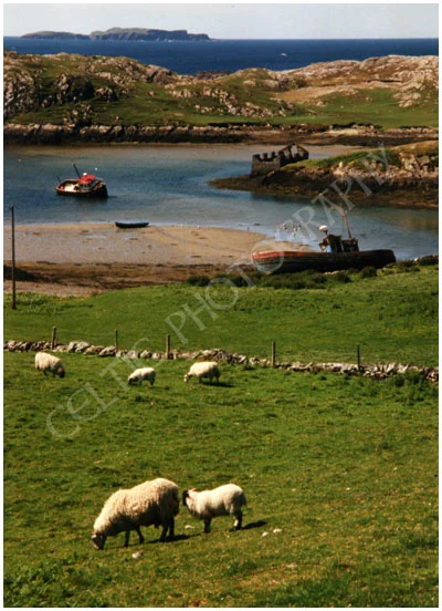 Inishbofin: Connemara, County Galway.