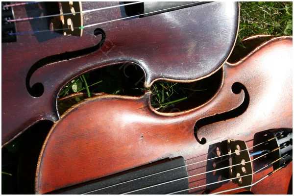 Fiddle Duet