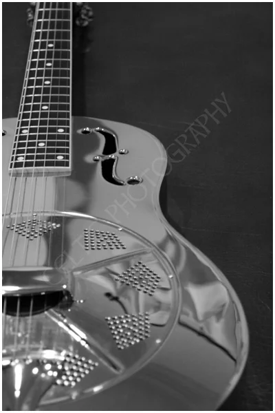 National Resonator, Pic #2