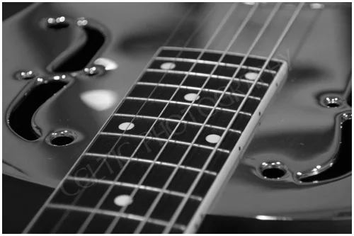 National Resonator, Pic #4