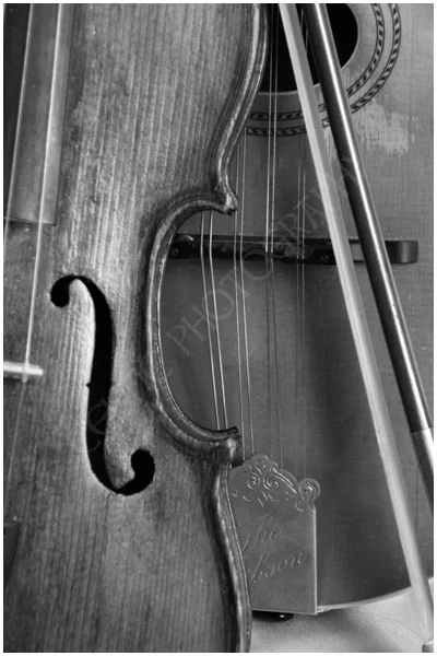Fiddle with Gibson Mandolin Pic #1