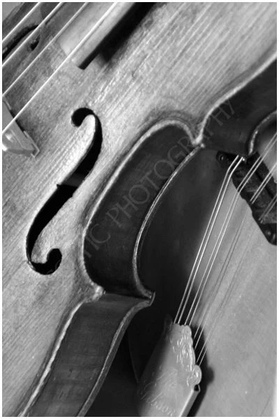 Fiddle with Gibson Mandolin Pic #2