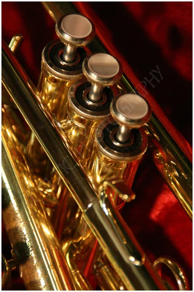 Trumpet Close up Pic #1